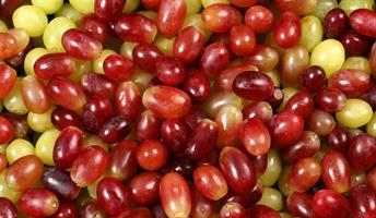 Druer 1 kg