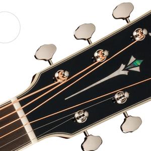 Fender PO220-E ORCHESTRA 3CVS
