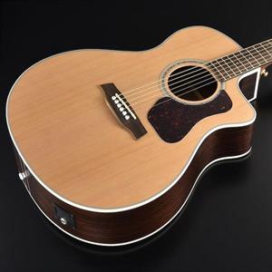 Walden G630CEW El.-Acoustic Guitar