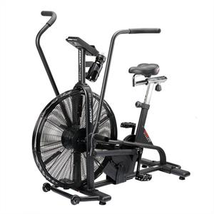Assault Airbike Classic
