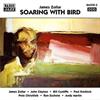 James Zollar - Soaring with bird