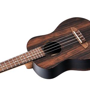 Ortega RUEB-TE  Tenor ukulele