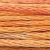 Anchor moulinegarn Beige orange melerat REA