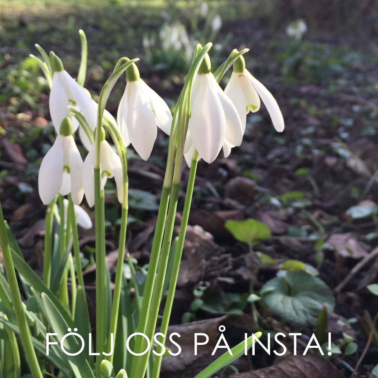 Följ oss på Instagram!