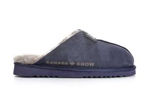 Canada Snow Edmonton Blue