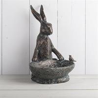 Hare med fågelbad