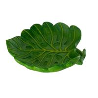 Reptile Nova - Rep Dish Leaf