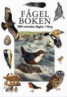 Fågelboken 200 svenska fåglar