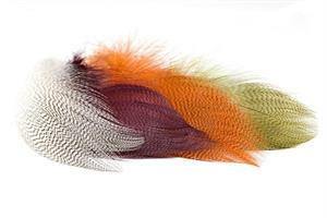 Mallard Barred Feathers selected