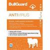 BULLGUARD ANTIVIRUS IS 1Y/1U