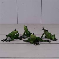 Grodor sittande, sorterade