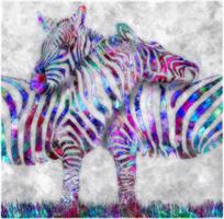 Liz Ravn - Zebra couple 