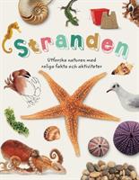 Stranden utforska naturen med roliga fakta och aktiviteter