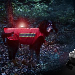 Scarab Rechargeable Dog Safety Light
