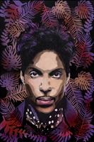 Fru Bugge - Prince 