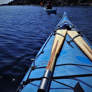Split Greenland paddle
