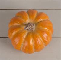 Pumpa orange, stor