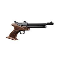 ARTEMIS CP1-M