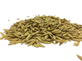 HAVRE 30 KG WOLLERTS