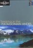 Trekking in  Patagonian Andes
