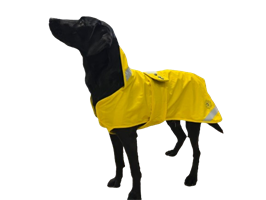 TÄCKE HUND PEGGY REGN GUL 40