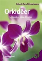 Orkidéer - Expertens bästa