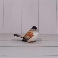 Fågel