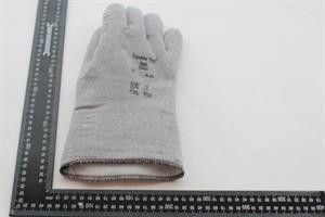 Glove 6HDSGLGEW-290, 10