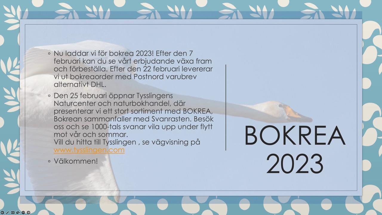 Bokrea 2023