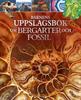 Barnens uppslagsbok om bergarter och fosil