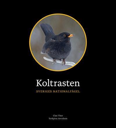 Koltrasten : Sveriges Nationalfågel