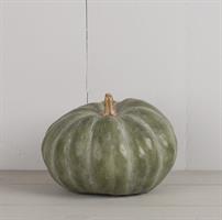 Pumpa Grön
