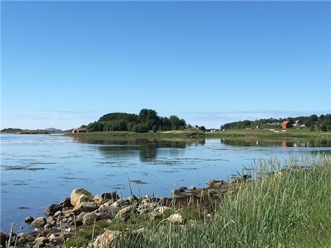 Åse Juul - Sommer ved kysten