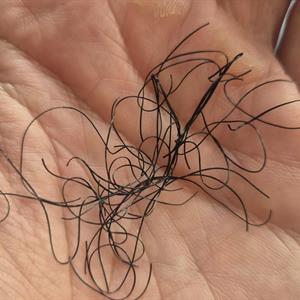 Mayfly-MIcro Rubber. 1 gram