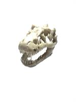 Dino Skull  - Small