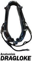 Dragloke  Anatomisk