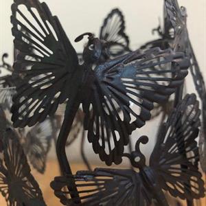 Ljuslykta Fjärilar