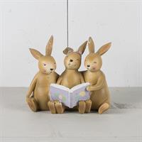 Kaniner som läser en bok