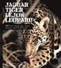 Jaguar, tiger, lejon, leopard