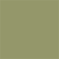 US ARMY OLIVE DRAB FADED 2