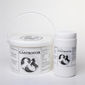Gastrofor 1kg