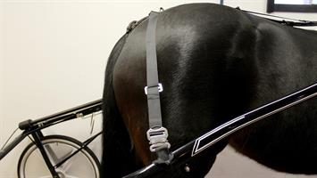 SÄKERHETSGJORD QUICK - Ponny/Shettis