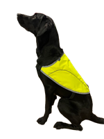 TÄCKE HUND REFLEX SMALL REX