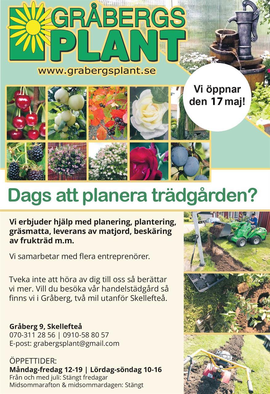 Gråbergs Plant