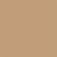 US DESERT TAN MODERN 2 FS 33446