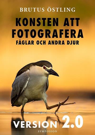 Konsten att fotografera fåglar och andra djur : version 2.0