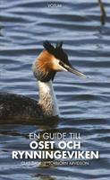 En guide till Oset och Rynning