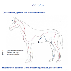 Colofor 4 kg 30% Rabatt