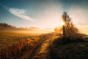 Martynas Milkevicius-Automn road 