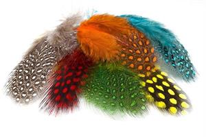 Troutline Selected Guinea Fowl Feathers -Natural 